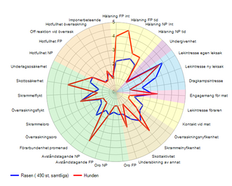 BPH Spindeldiagram Engine Xander